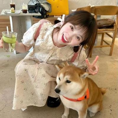 迷离世界粤语