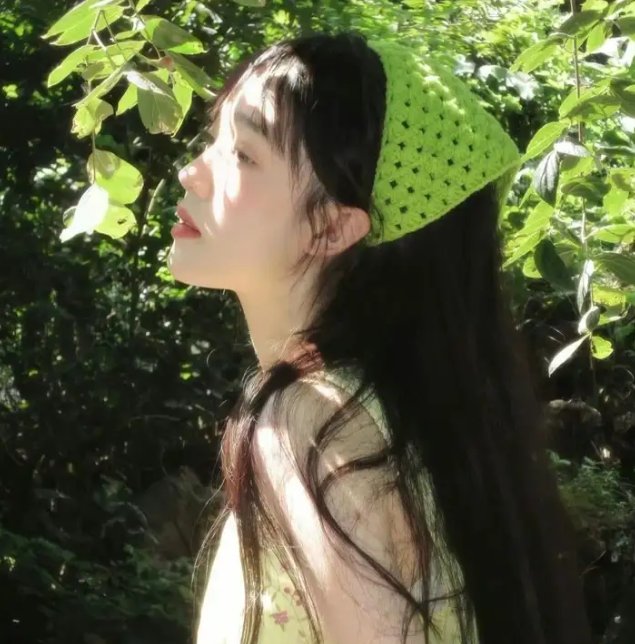 成凰录